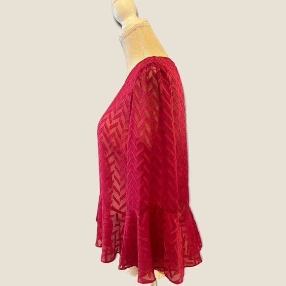 BCBGMaxazaria | EUC Women’s Sheer Bell Sleeved Blouse Size M - Picture 4 of 8